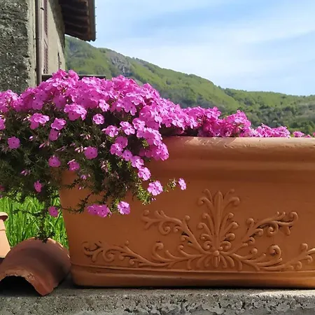Casa Di Ercole *